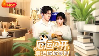 厄运闪开幸运猫猫驾到