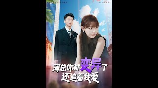 薄縂你都變異了還追著我愛
