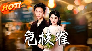 危枝雀