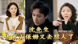 沈先生，你家小保姆又去懟人了