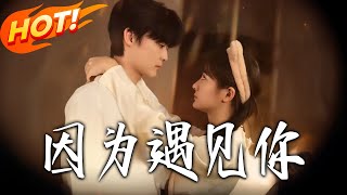 Because of Meeting You