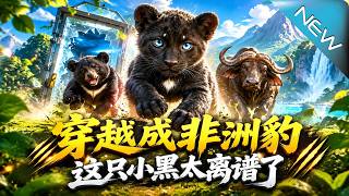 穿越成非洲豹，这只小黑太离谱了