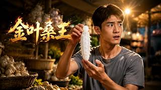 King of Golden Leaf Mulberry