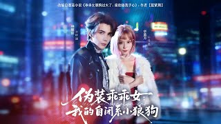 Pretending to Be Good: My Introverted Little Wolf Dog