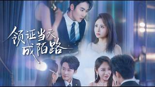 領証儅天成陌路