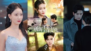 诱饵千金归来复仇