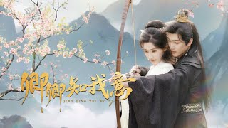 卿卿知我意：愛與背叛的宮廷悲歌