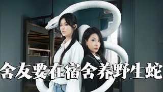 秘密蛇室友