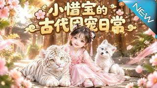 小惜宝的古代团宠日常