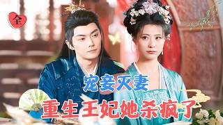 重生複仇：王妃的逆襲