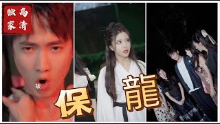 《保龙》