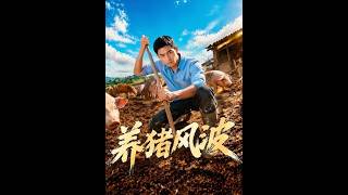 养猪风波