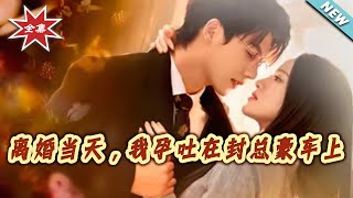 离婚当天，我孕吐在封总豪车上