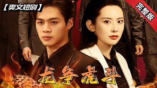龍爭虎鬭：徐氏集團私生子的歸來