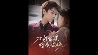 双枭合谋暗夜破晓