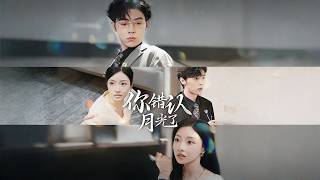 You Mistook the Moonlight