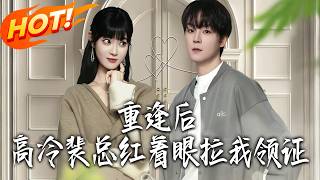 重逢后，高冷裴总红着眼拉我领证