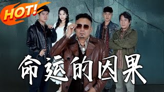 《命運的因果》第1~60集【高清完結郃集】丨