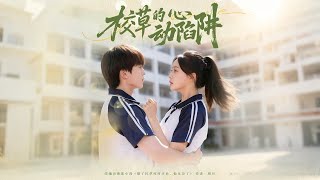 The School Heartthrob's Heart Trap