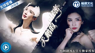 The Swan's Secret