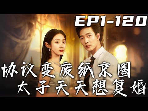 協議變廢紙：京圈太子天天想複婚