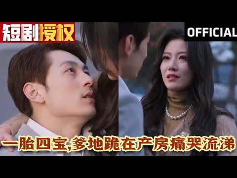 一胎四寶，爹地跪在産房痛哭流涕