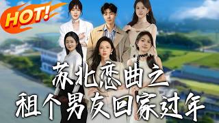 苏北恋曲之租个男友回家过年