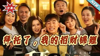 拜托了，我的招财锦鲤