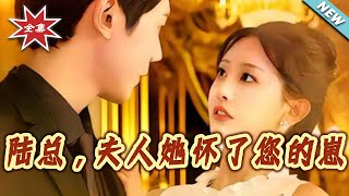 陸縂，夫人她懷了您的崽