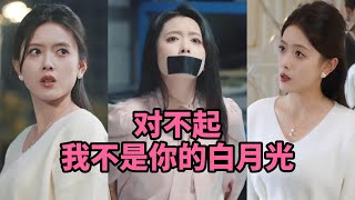 對不起我不是你的白月光