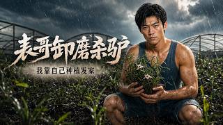 My Cousin's Betrayal: I Rise Through Farming