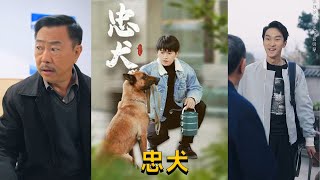 忠犬