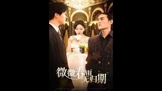 微微春雨無歸期