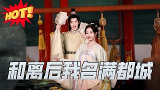 和離後我名滿都城