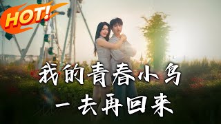 我的青春小鸟壹去再回来