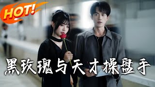 黑玫瑰与天才操盘手