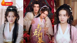 与君朝暮