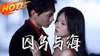囚鸟与海