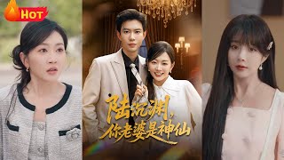 Lu Chenyuan: My Wife is a Goddess