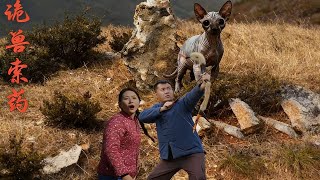 🔥【MULTI SUB】《诡兽索药》【短剧合集】