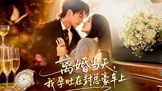 On the Day of Divorce, I Vomited on Mr. Feng's Luxury Car