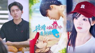 狡猾小狐狸遇到狗