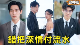 隱婚八年終成殤