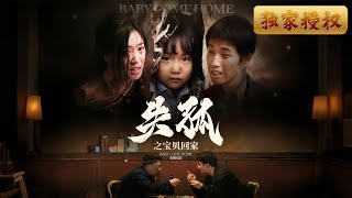 失孤之宝贝回家