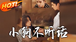 The Disobedient Puppy