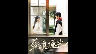 盛夏逐光