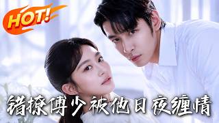 Mistakenly Provokes Mr. Fu: Obsessed with Her Day and Night