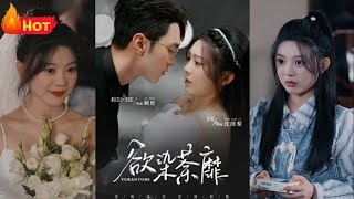 欲染荼靡：暗戀成王者的逆轉人生