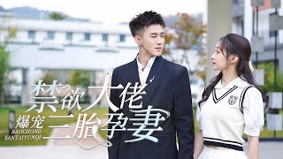 禁欲縂裁的意外驚喜