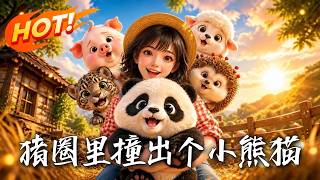 猪圈里撞出个小熊猫
